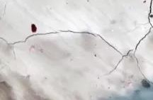 ݿ(Ρku)ٷվ