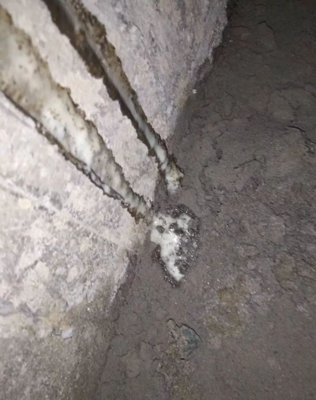 ݿ(Ρku)ٷվ